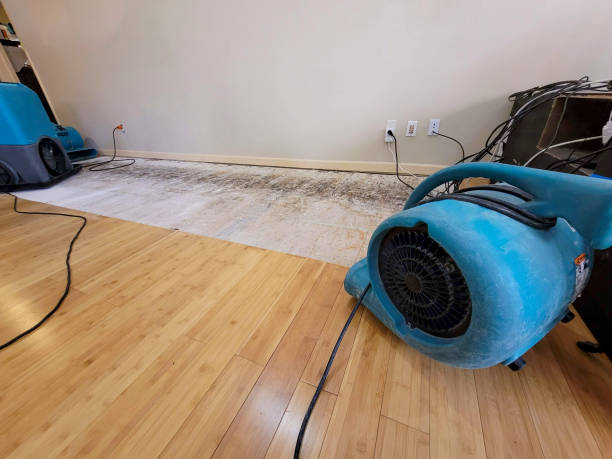 Professional Emergency Water Damage technician working in Fellsmere, FL